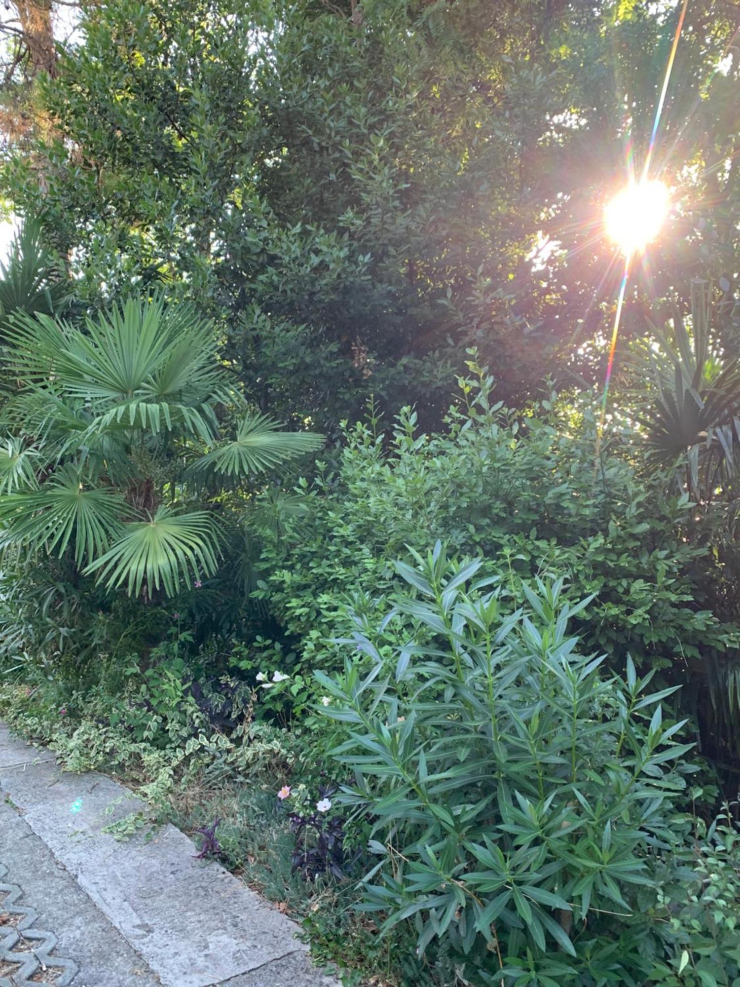 Sheltered Green Oasis In Abbázia Kültér fotó